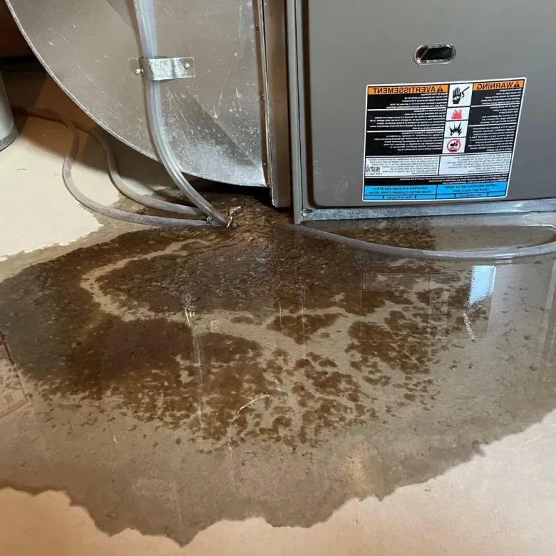 Pipe Burst and Leak Restoration in Lunenburg, VT